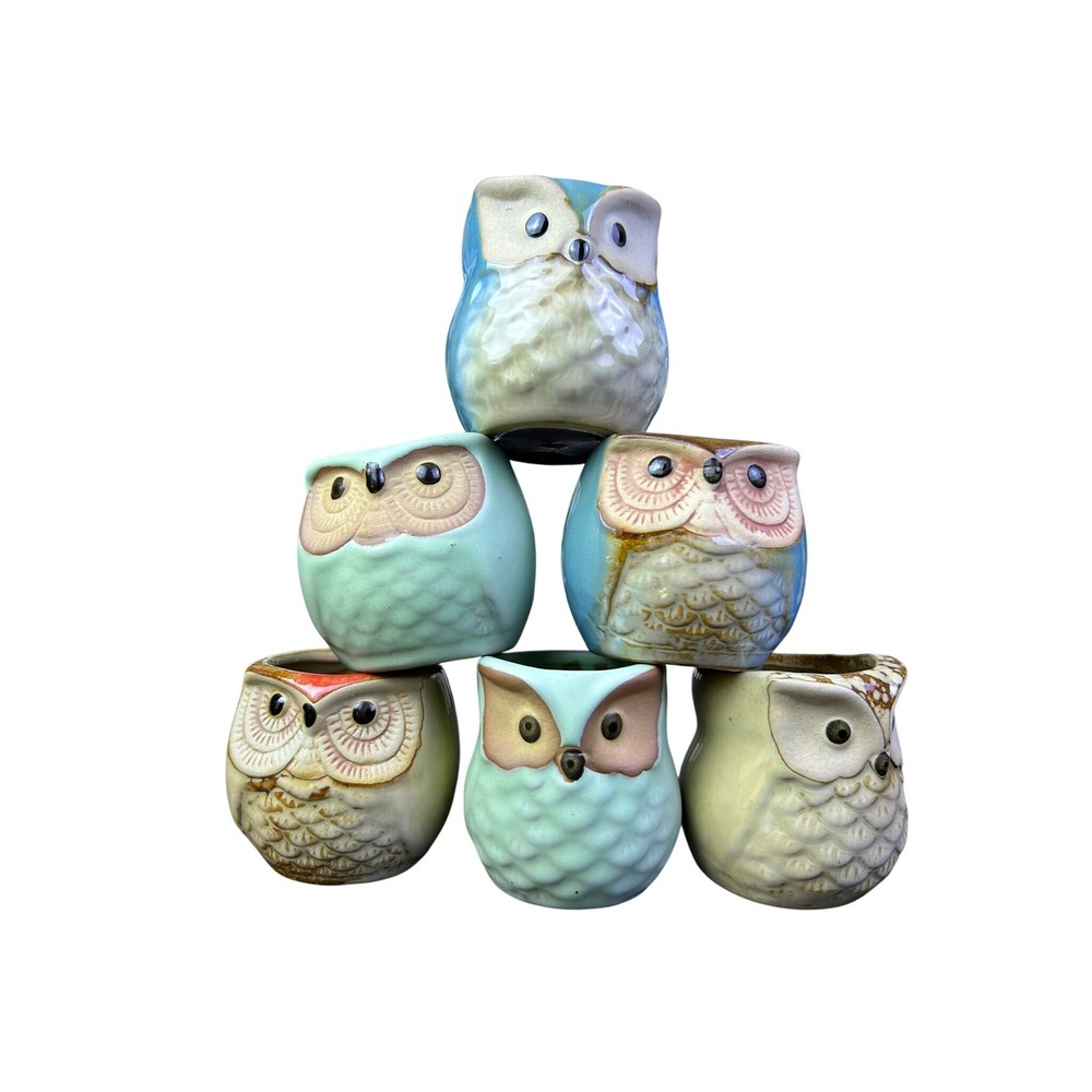 Set of 6 Mini Ceramic Owl Succulent Planters Pastel Glazed Pottery Decor